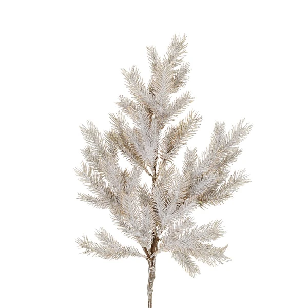 Основная картинка