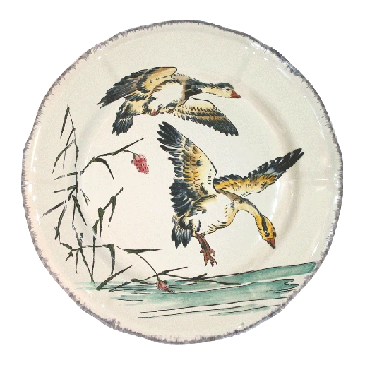 grands-oiseaux-plate-canard-en-vol