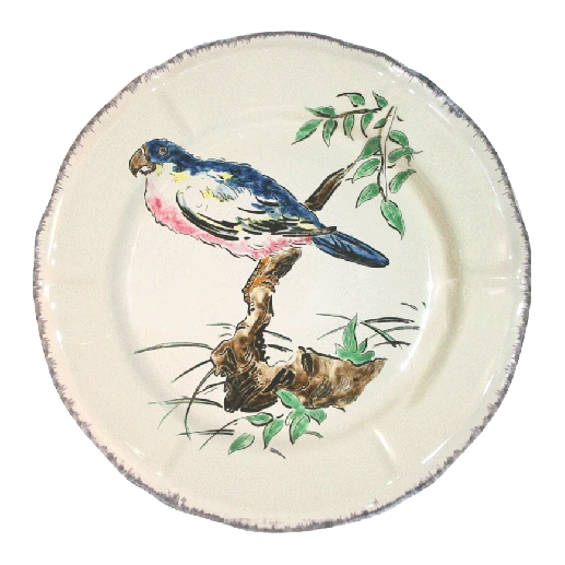 grands-oiseaux-plate-perroquet