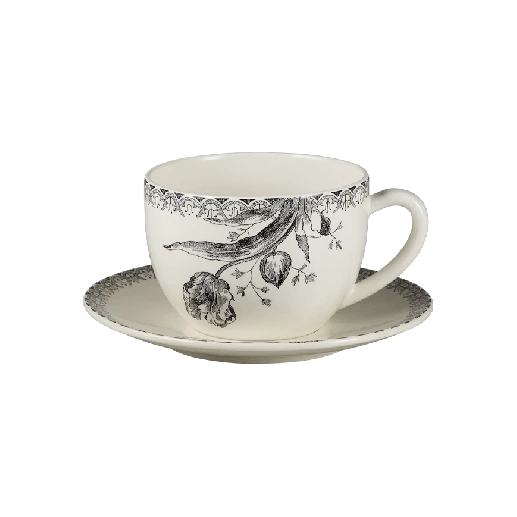 tulipes-noires-jumbo_1