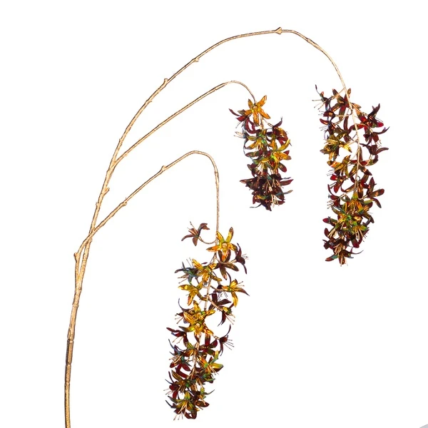 Основная картинка