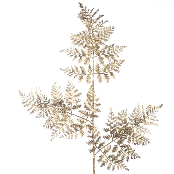 Основная картинка