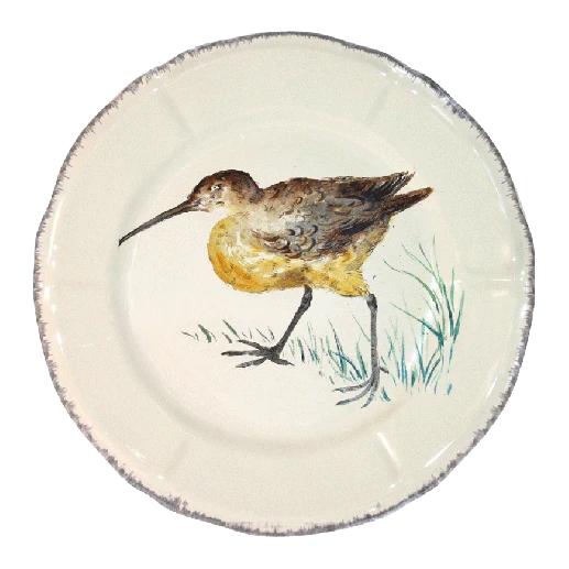 grands-oiseaux-plate-becasse