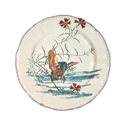 grands-oiseaux-dessert-martin-pecheur