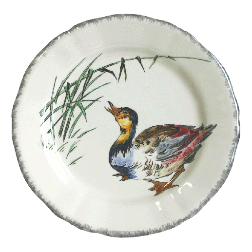 grands-oiseaux-plate-canard