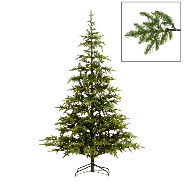 Основная картинка