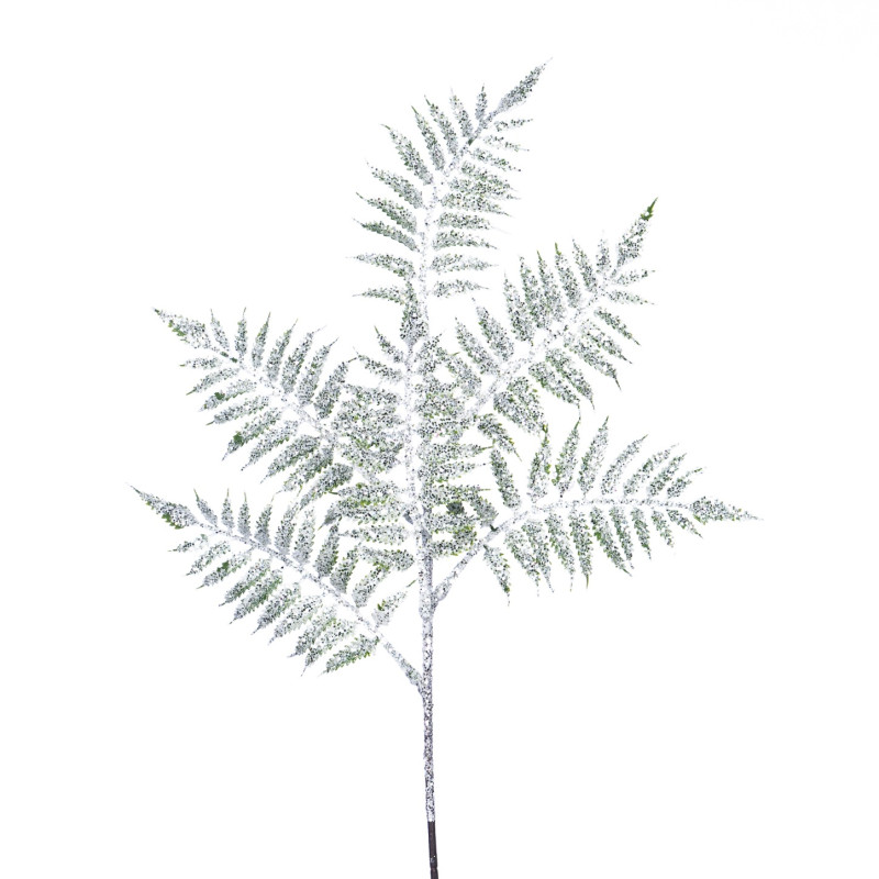 Основная картинка