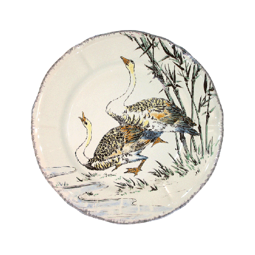 grands-oiseaux-dessert-oies-cendrees