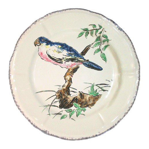 grands-oiseaux-plate-perroquet