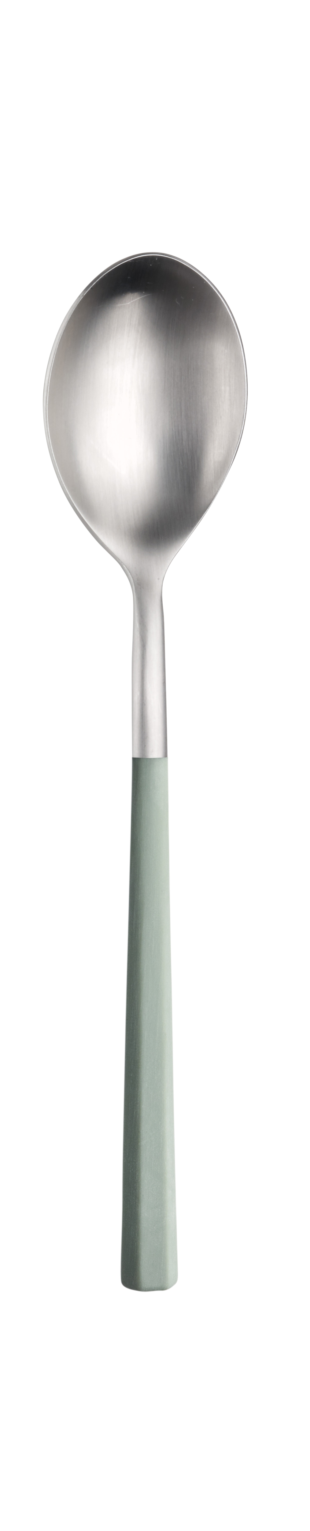 Ложка столовая матовый зеленый Pintinox Audrey Velvet 21,5 см, Зеленый