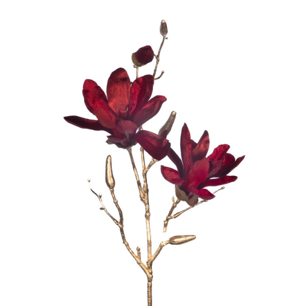 Основная картинка