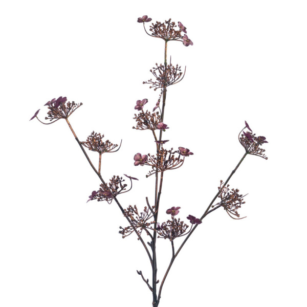 Основная картинка