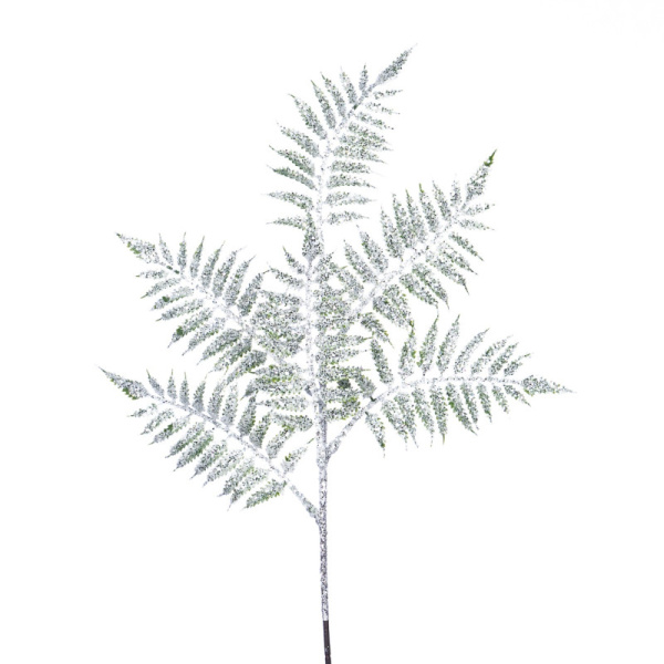 Основная картинка