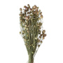 58862134