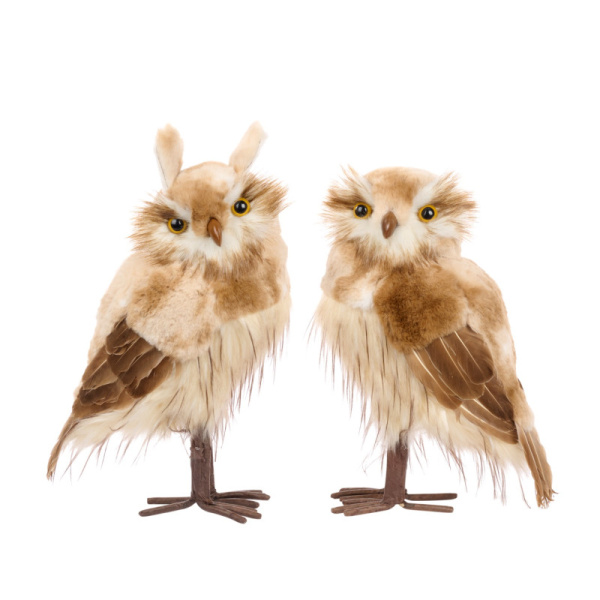 Основная картинка