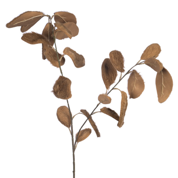 Основная картинка