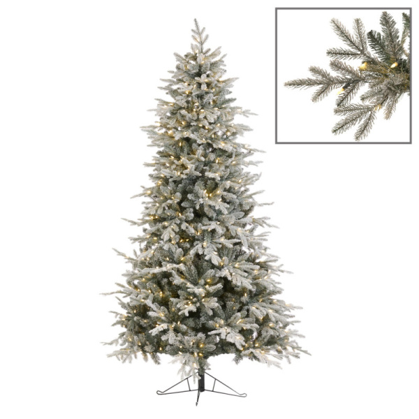 Основная картинка