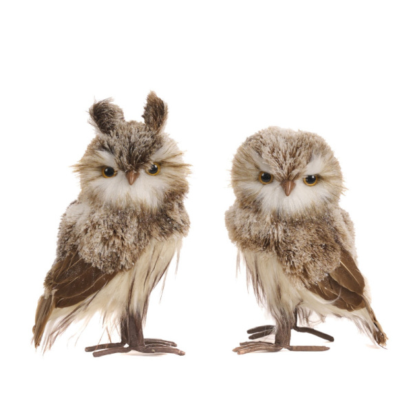 Основная картинка