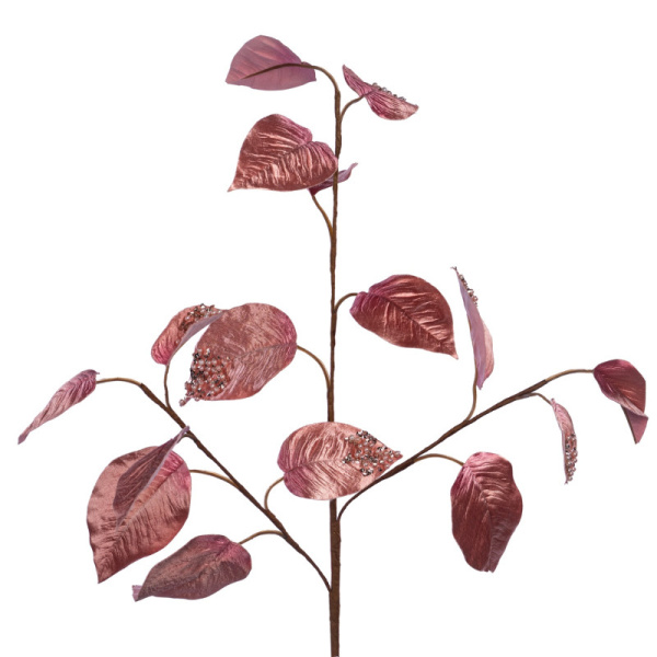 Основная картинка