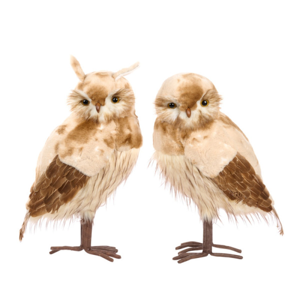 Основная картинка