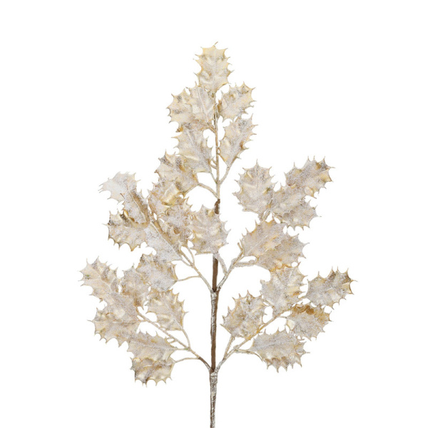 Основная картинка