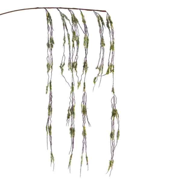 Основная картинка