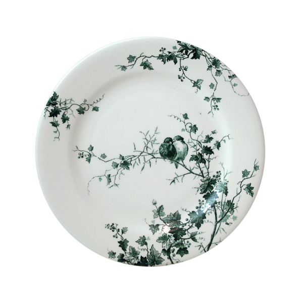 1840b4ab50-oiseaux-a