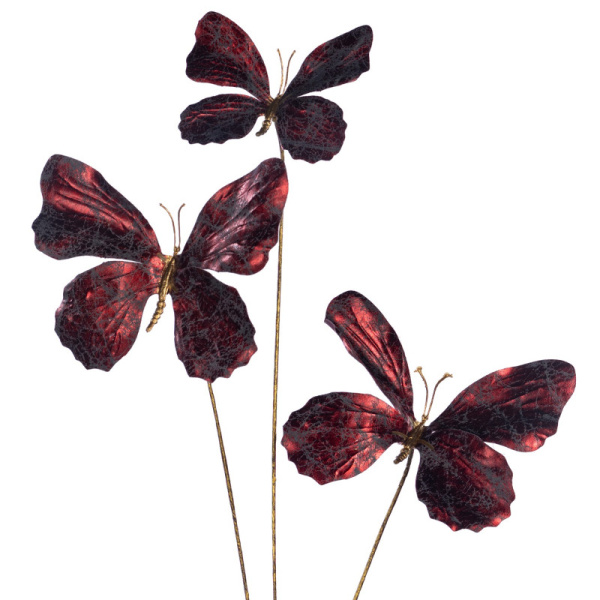 Основная картинка